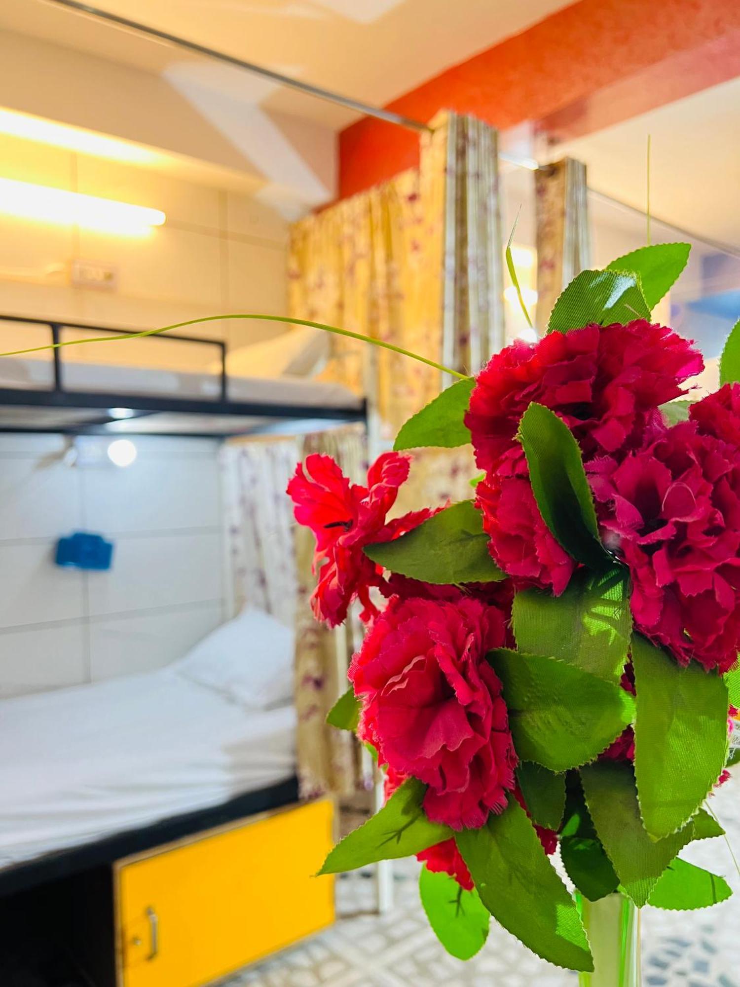Hotel Moon Light Palace Dźajpur Zewnętrze zdjęcie